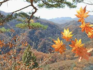 药流药联系微信璋利国际完成配售359万股 净筹约415万港元