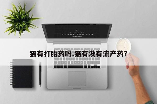 药流药联系微信猫有打胎药吗.猫有没有流产药？